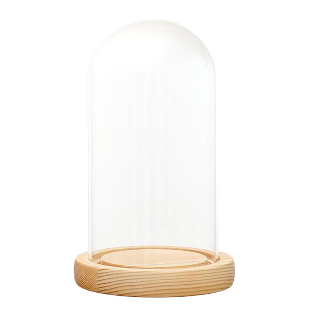 Clear Glass Display Dome with LED Wood Base Microlandscape Holder Glass Cover for Birthday Gift Bedroom Home Decoration