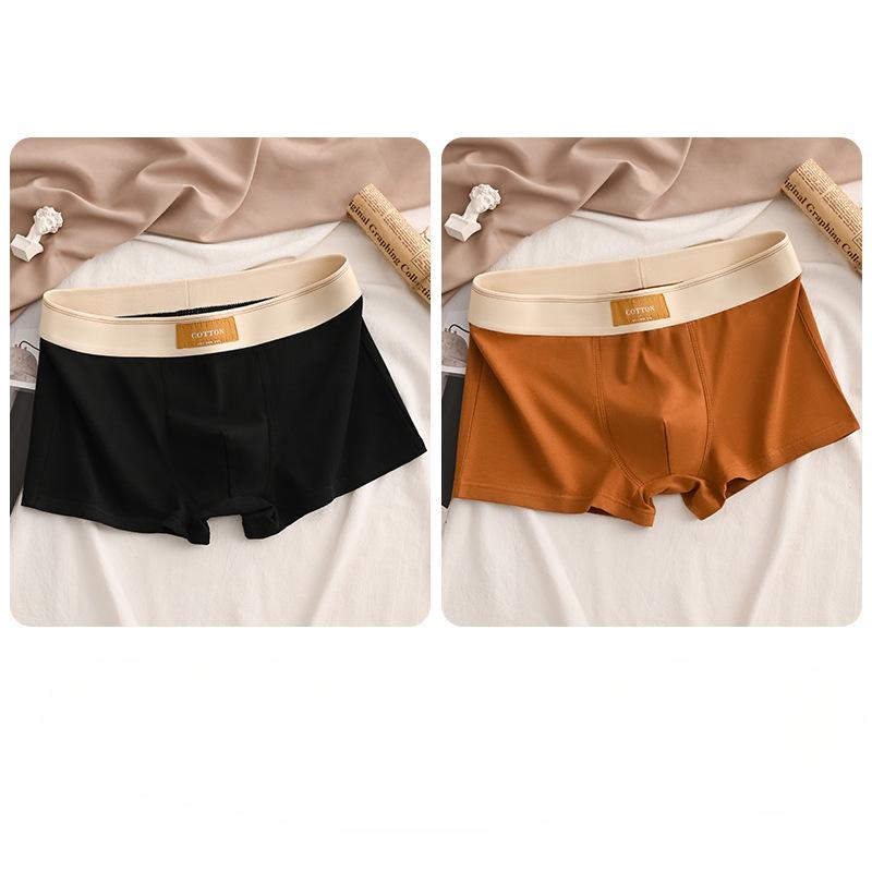 Luxury Men Underpants Man Cotton Breathable Comfortable Boxer Selling Shorts Men's Panties Plus Size Panties Underwear Gift
