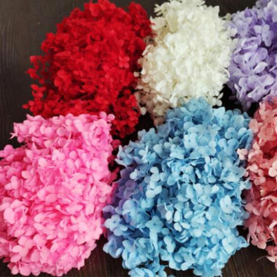 Excellent Dried Flower Heads Eye-catching 21 Styles Decorative