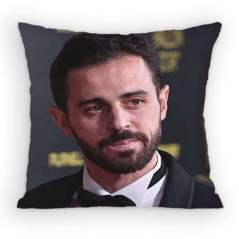 BBernardo SSilva  MidCourt Pillow Case Antidustmite Pillowcase Invisible Zipper Silky Short Plush Sofa Cushion Cover