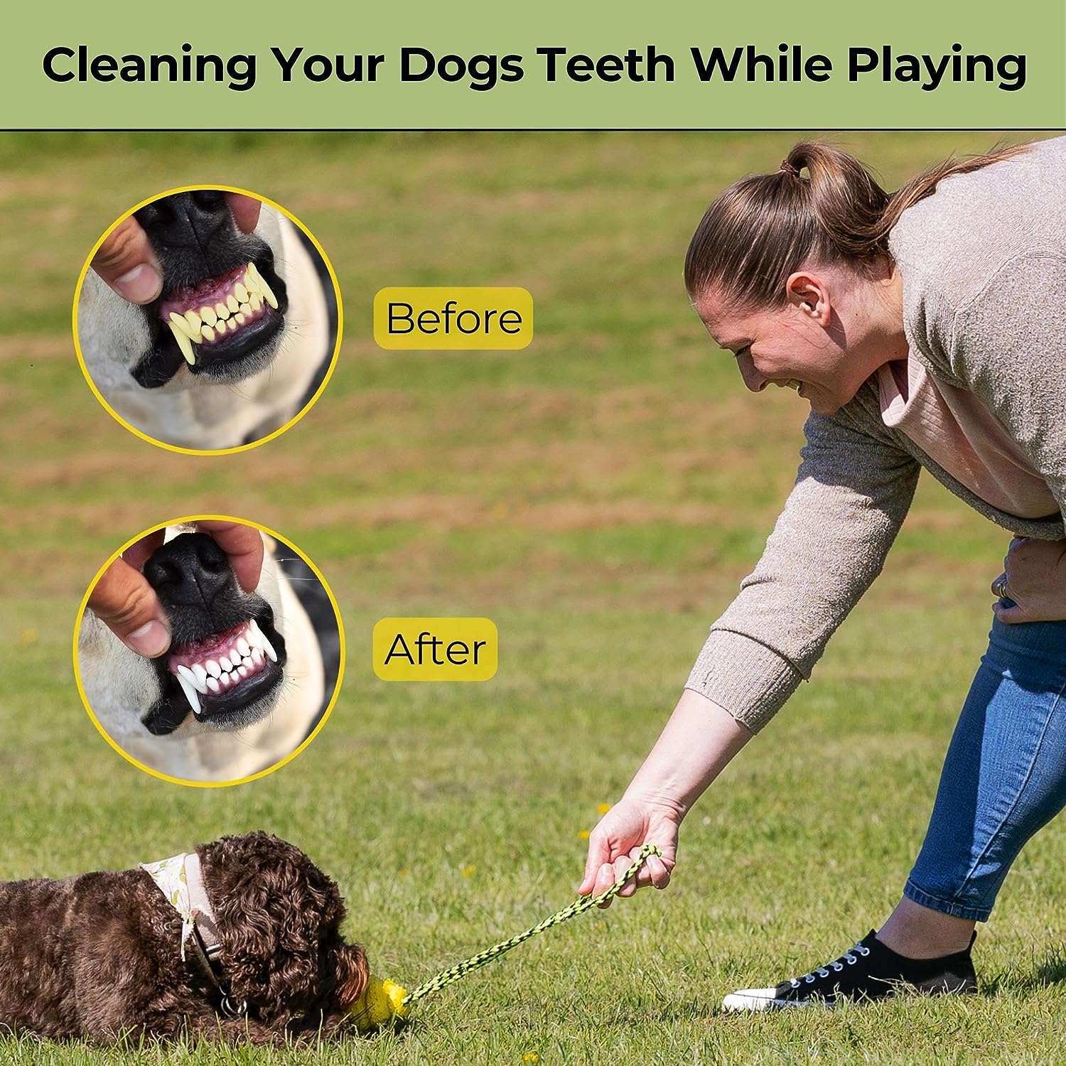 Giocattolo Da Masticare Per Cani PETIZER - Gomma Naturale, Stridente, Quasi Indistruttibile