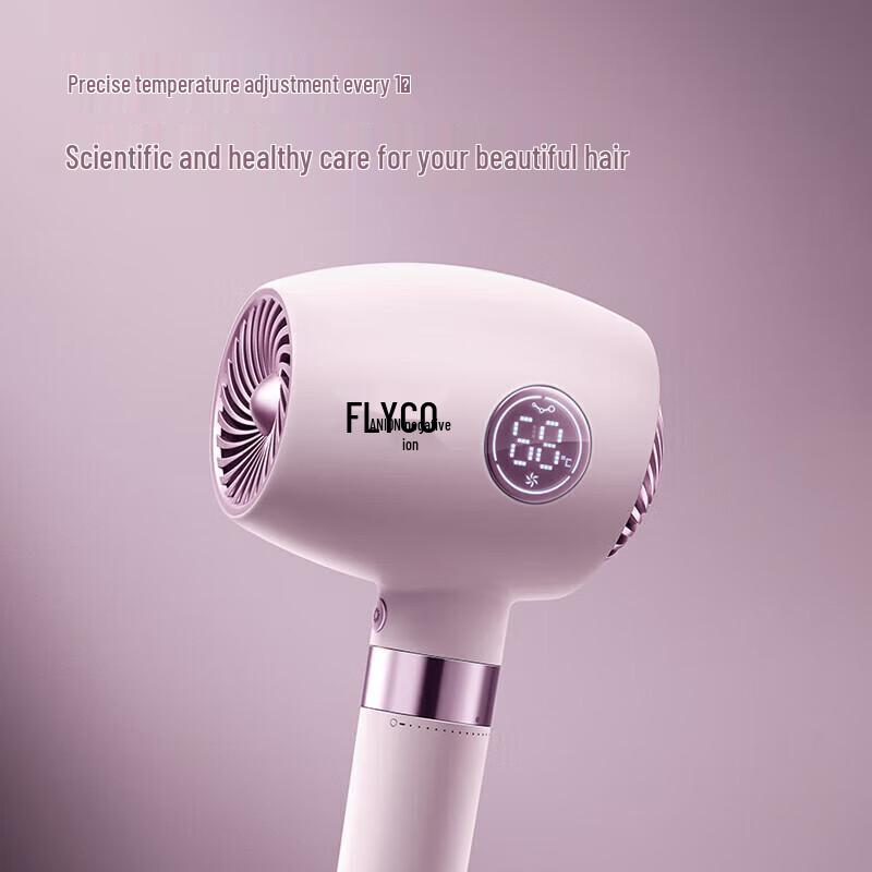 Feike FH6368 Negative Ion Hair Dryer CN plug (adapter included)