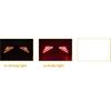 Car LED 12V Rear Bumper Fog Lamps For Toyota CHR C-HR 2016 2017 2018 Brake Light Turn Signal Backup Reflector Lamp Taillight