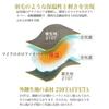 Sleeping sleeping mummy antibacterial minimum operating temperature specification [Moonrock] bag, bag, type, compact, washable, specifications, -15℃