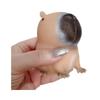 Creative Capybara Squeeze Toy - Capybara-kun Multifunctional Quick Rebound Animal Stress Relief.