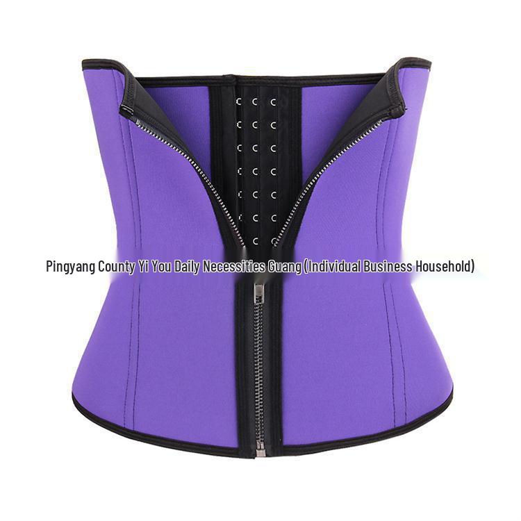 Best-Selling Seamless Waist Cincher with Hook-and-Eye & Zipper: Slimming Tummy Shaper & Postpartum Binder