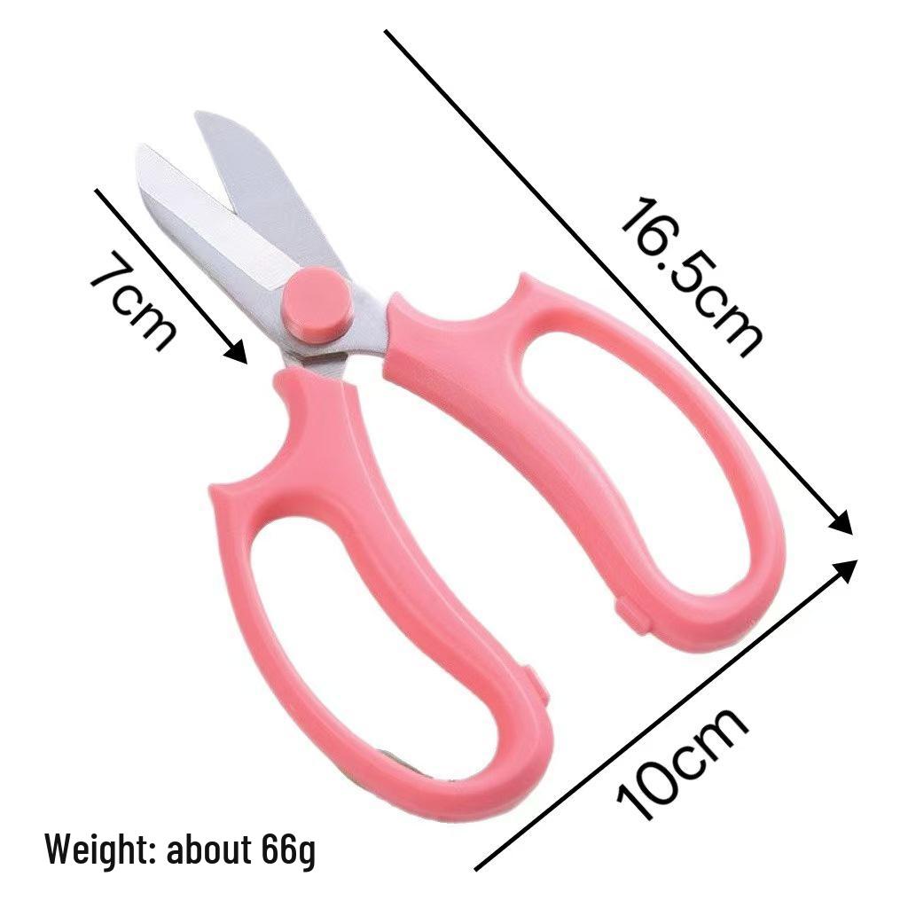 

Horticultural Pruning Shears for Flowers and Floral Arrangements