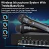 Depusheng D3 Professional Wireless Microphone Dual Portable UHF Wireless Receiver Suitable for KTV Family K-Song Stage Performance Bluetooth