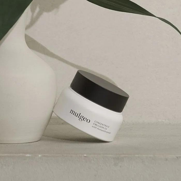 Concentrate Emulsion 1.0