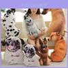 Creatief 3D-simulatie hondenkussen, pluche speelgoedhond voor kinderen, korte pluche stof, PP-katoenvulling, diverse maten en kleuren.