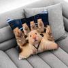 Funny Sad Hamster Meme Throw Pillow Case For Square Bedroom Pillowcase Cover