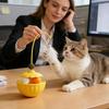 With Bells Cat Teaser Toy Long Pole Interactive Cat Toy Treat Dispenser  Daily Entertainment