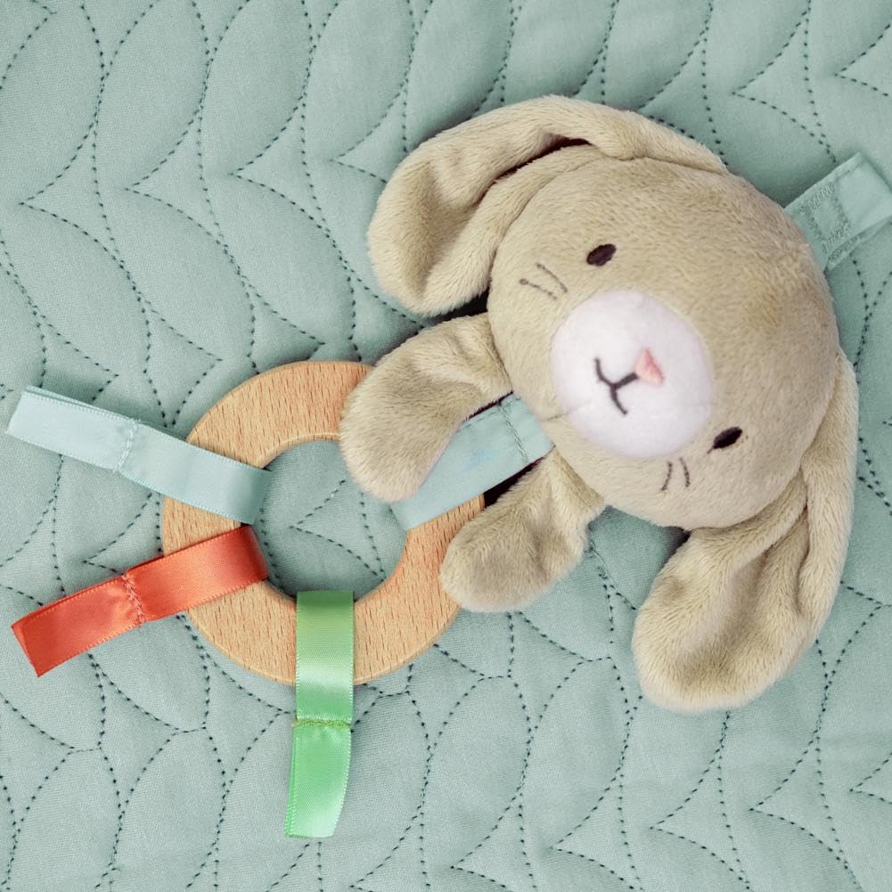 Ingenuity Calm Springs Fluffy Play Gym