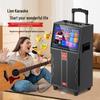Aigo S801 Portable Trolley KTV Speaker (CN Version)
