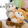 New Cartoon Cat Plush Toy Loves to Eat Fish Kitten Children's Birthday Gift Living Room Decoration