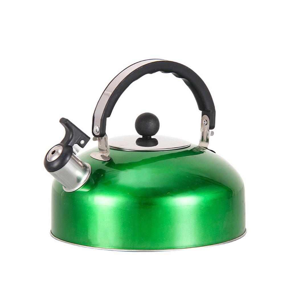 

Stylish Whistling Kettle 3L Stainless Steel for Gas Electric Induction зелёный