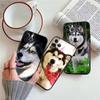 NH32 husky dog New High-End Shell Phone Case for Redmi Note 8 9 Pro Max 9S 9T 9C NFC 8T 8A 10A A4