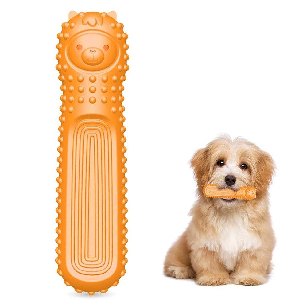 dog bites toothbrush