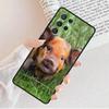 Funny Cartoon Pig Phone Case For Samsung Galaxy S25 S23 S30 S8 S21 S20 FE S24 S22 Note 10 20 Plus lite Ultra