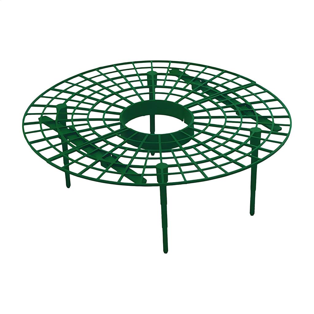 Circular strawberry rack Garden supplies Strawberry planting tray Anti rotten fruit bracket Green plant support frame Stand