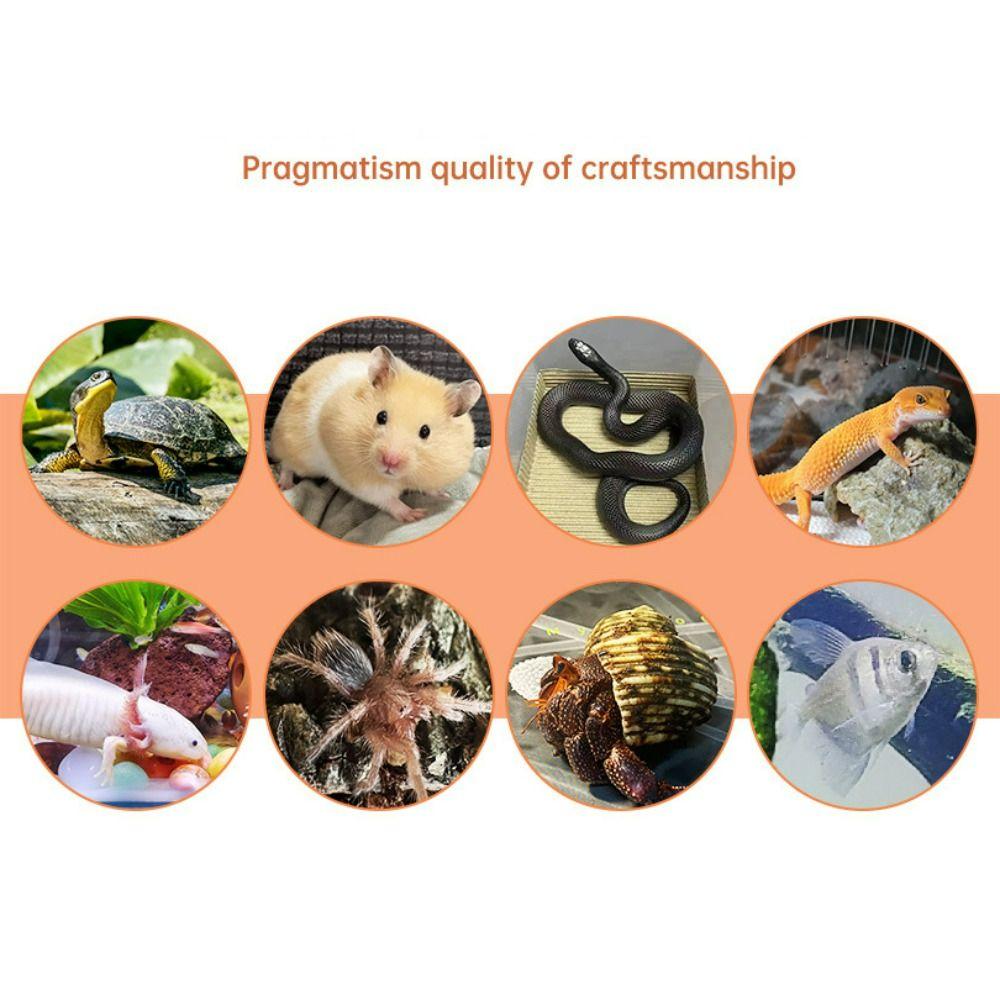 Resin Fish Shrimp Hiding Cave Landscape Decor Fish Tank Scenery House  Shrimp