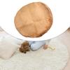 Super Soft Shaggy Area Rug with Secure Anti Slip Backing Suitable for Multiple Indoor Spaces Such as Living Rooms and Bedrooms