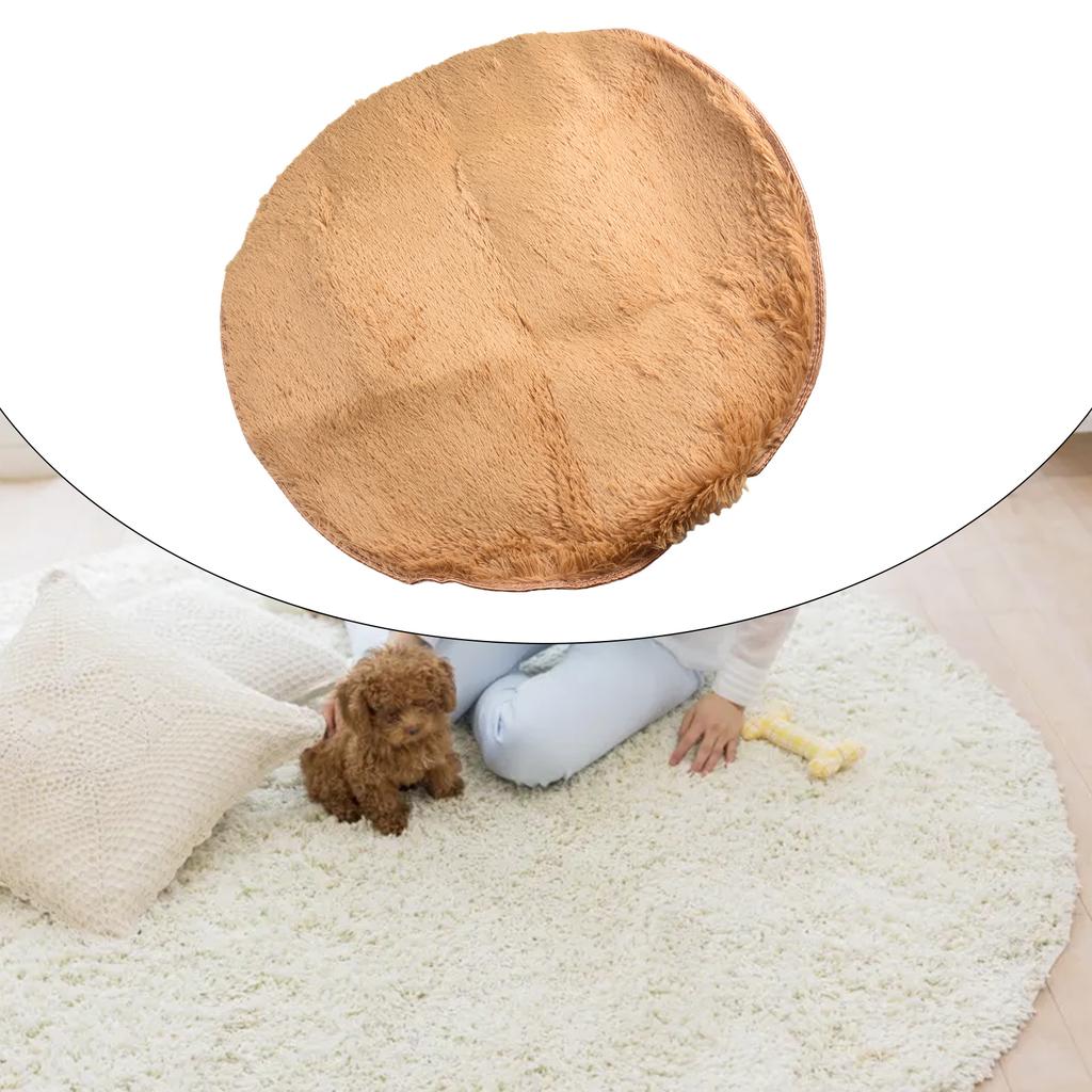 Super Soft Shaggy Area Rug with Secure Anti Slip Backing Suitable for Multiple Indoor Spaces Such as Living Rooms and Bedrooms