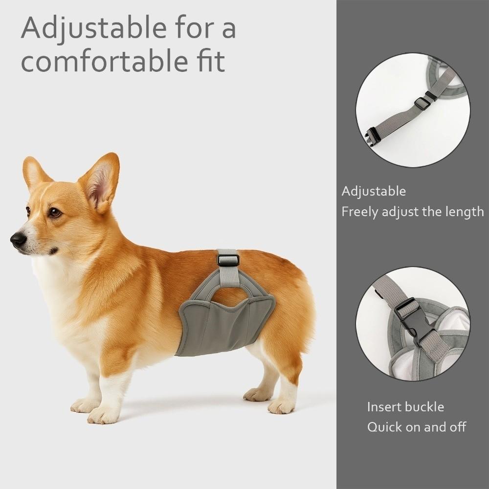 Leak Proof Male Dog Physiological Pants Washable Breathable Dog Diapers Adjustable Reusable Dog Politeness Belt Estrus Period