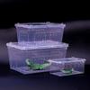 Reptile Breeding Box Secure Portable Terrarium with Clear View Escape Proof Lid for Transport and Pet Display