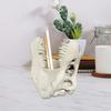 Dinosaur Skull Pen Holder Plastic Pencil Case Desktop Organizer for Pens Erasers Markers School Office Supplies