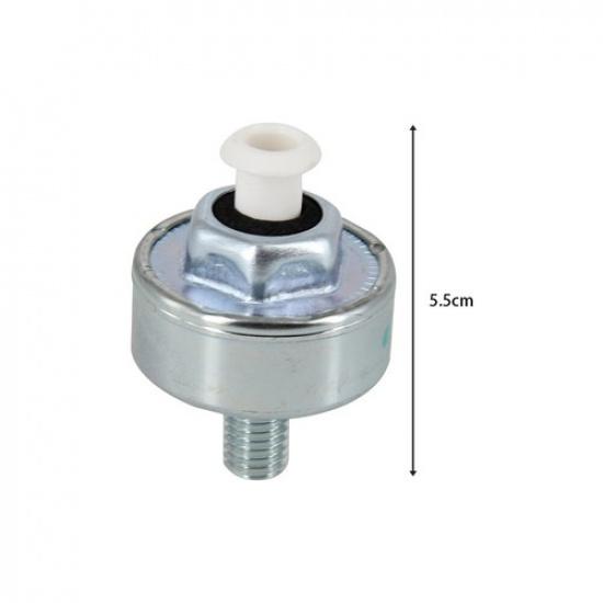 2pcs  213-3521 Knock Sensors for Chevy Silverado Express GMC 12589867