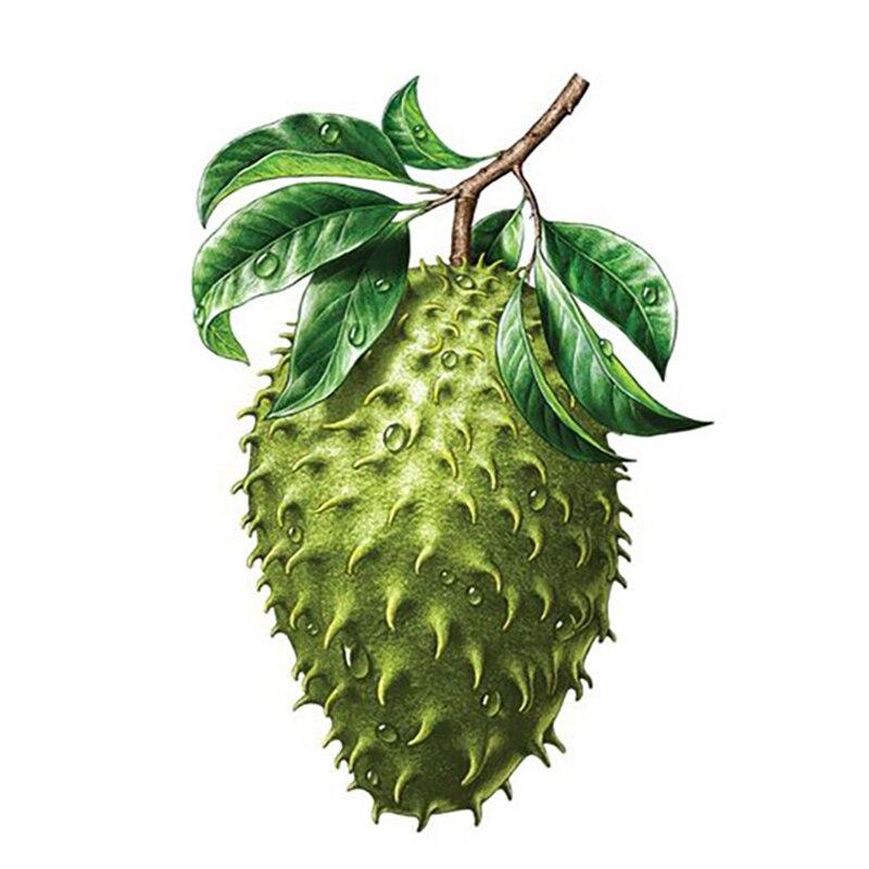 New 5D DIY Diamond Painting Fruit Diamond Embroidery Scenery Cross Stitch Full Round Drill Crafts Home Decor Manual Gift