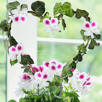 1 st Växtstödram Hjärtformad Vinstocksklätterställning Järn Trädgårdsväxtstöd Pinne Ställning Blomsterträdgårdsdekor