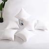 Thickened Brushed Non-Woven Fabric Square Pillow Core for Living Room Hotel Home Sofa Cushion