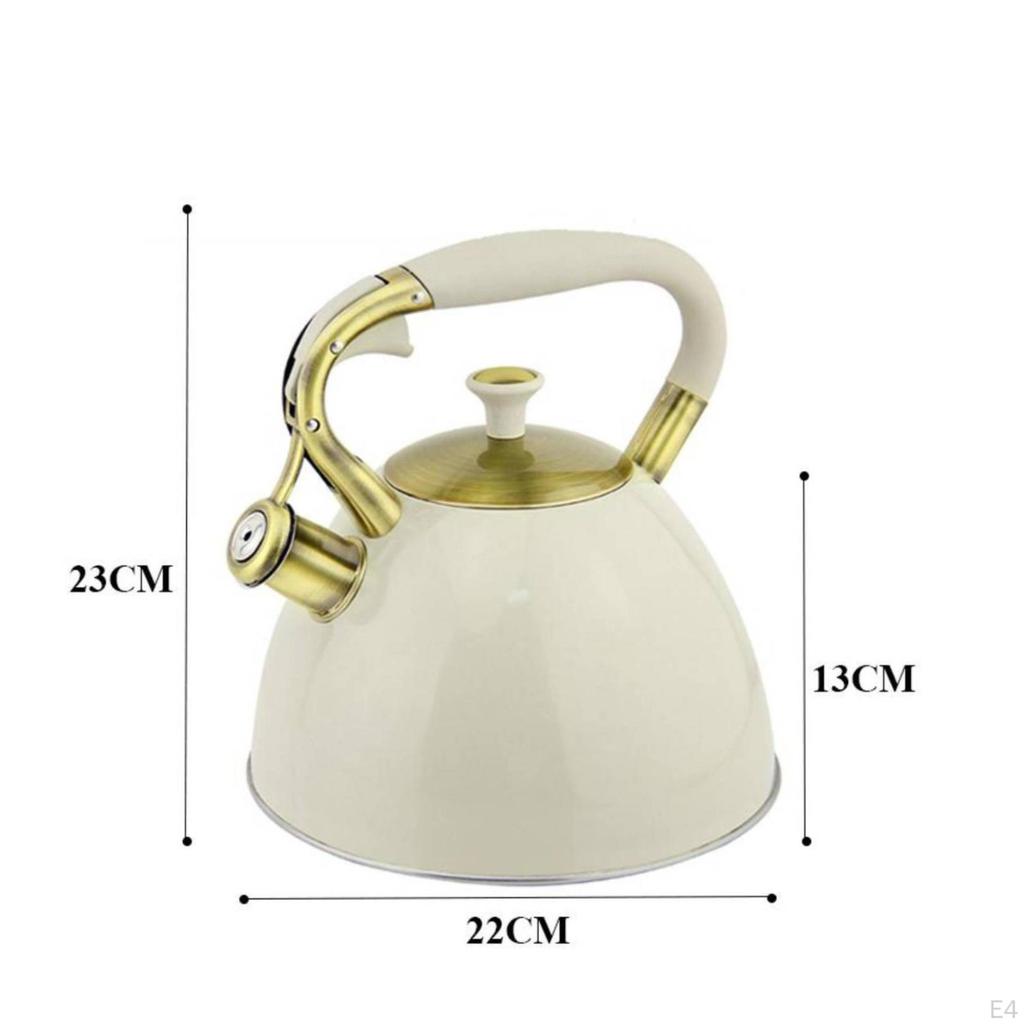 Teekessel mit Ausguss Pfeife Ergonomisch Induktion Teekessel Auslaufsicher