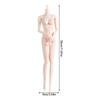 Highly Articulated 1/6 Doll Body With Joint Design 30CM Doll Replacement Nude Doll For Creative Posing Adult Collector