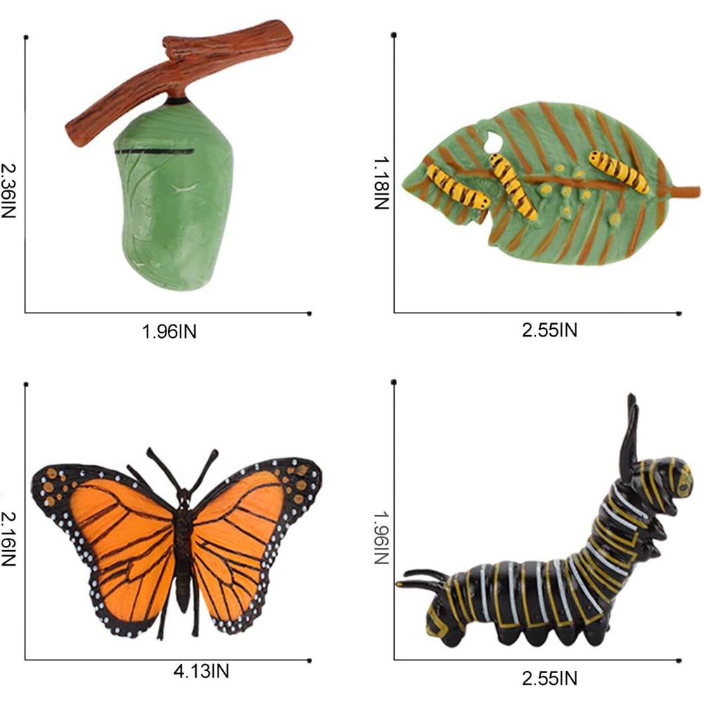 Growth Cycle Model Realistic Life Cycle Animal Models Child Imagination Toys Teaching and Learning