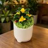Handgefertigte Mini-Blumenfigur, Künstliche Keramikblumen im Topf für Armaturenbrett im Auto, Badezimmer, Zuhause, Tischmitte für die Küche, Regaldekoration