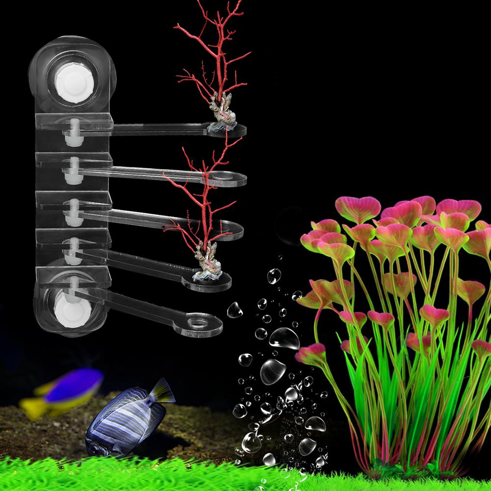 Acrylic Transparent Aquarium Five Claw Life Tree Shape Coral SPS Button 5 Hole Frag Rack Base Fish   Accessories