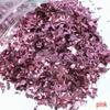 DIY Irregular Nail Shell Paper Fragments – 10g Bag for Slime, Epoxy Resin, Crafting.