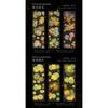 Ins Style Firework Series Pet Flat Sticker For Journal Diy Decoration