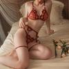 Erotic Lingerie Hot See-Through Embroidered Bra Female Large Size Passionate Temptation Sexy Panties Garter Three-Piece Suit
