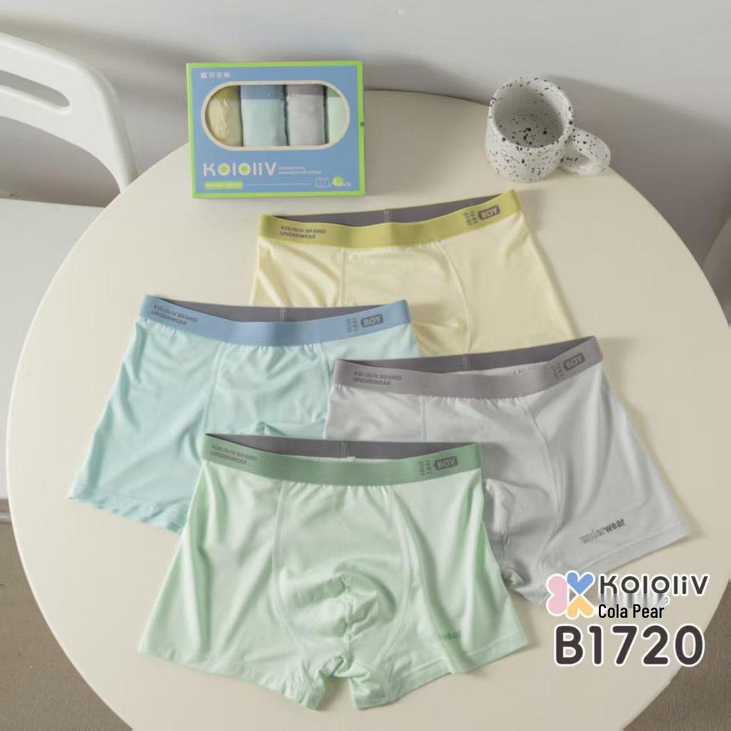 Cola Pear Boys' Boxer Briefs for Middle/High School Students and Teens