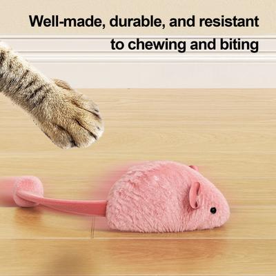 Kedi – Kedi Oyuncakları