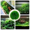 Simulation Water Grass Ball Realistic Artificial Water Plants Aquatic Plants Ball  Home