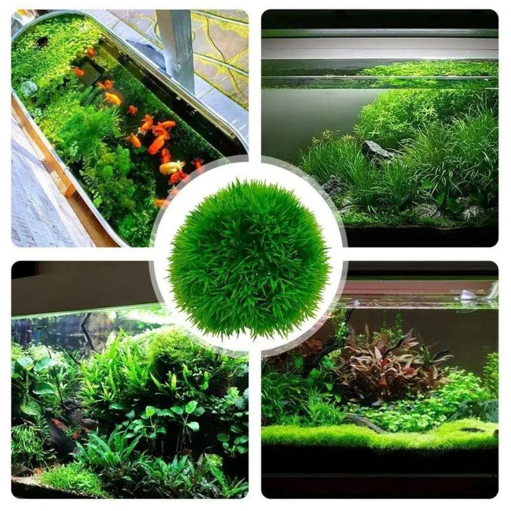 Simulation Water Grass Ball Realistic Artificial Water Plants Aquatic Plants Ball Home