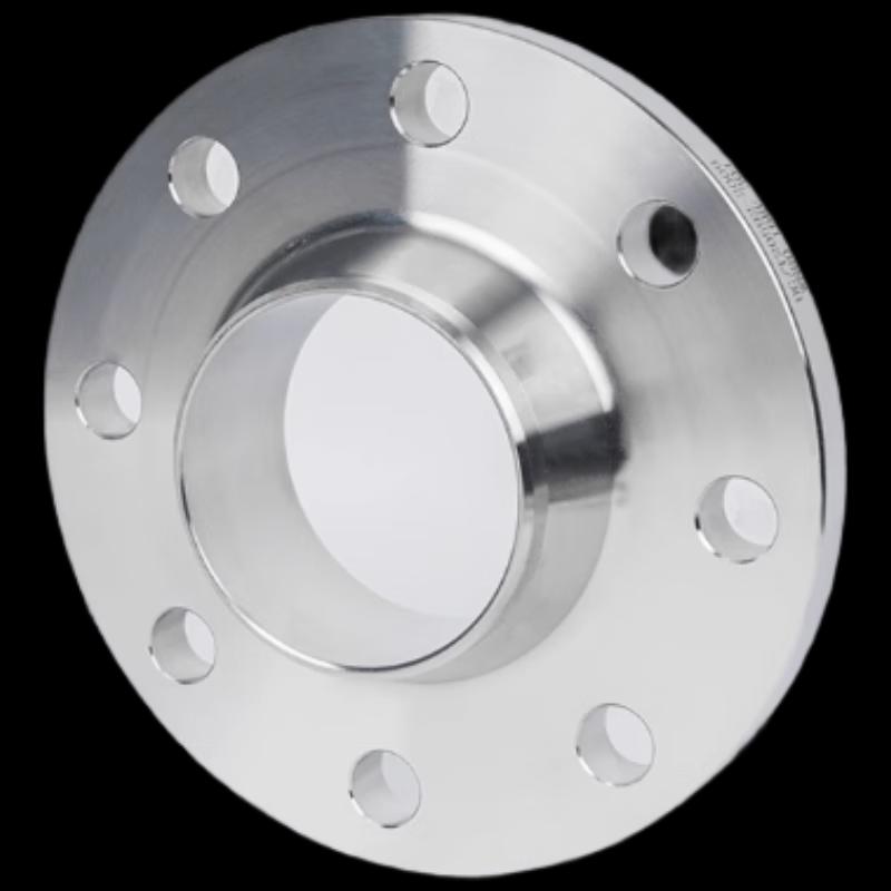 304 Stainless Steel Butt Weld Neck Flange