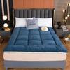 WTEMPO Warm Winter Single Student Dormitory Mattress Solid Color Soft Thickened Plush Mattress Cushion Home Tatami Double-sided Bed Mattress Quilts