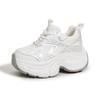 Dad shoes women's spring and summer new fashion mesh shoes casual sports shoes versatile thick-soled inner height-increasing women's shoes