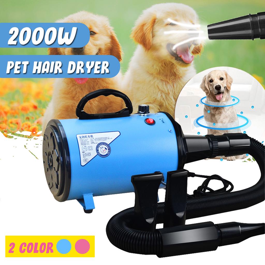 dog blaster dryer